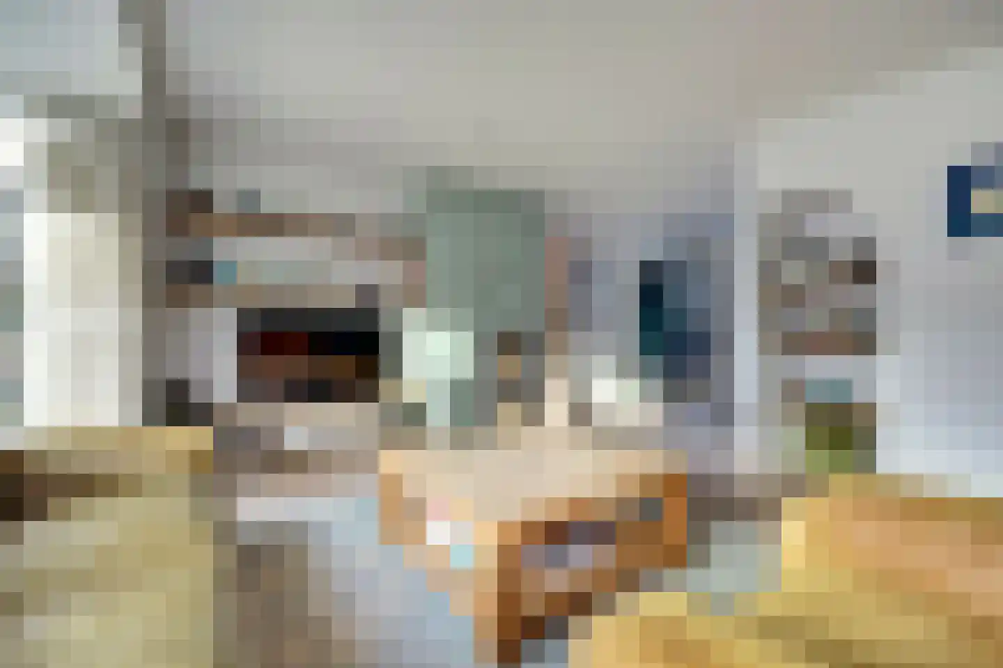 van Egmondplein 6 Brielle thumbnail 9