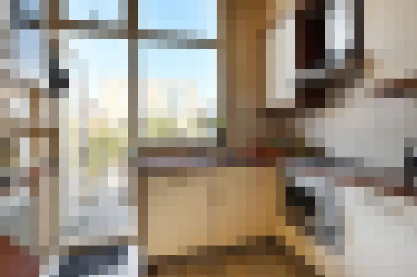 Van Egmondstraat 101 Den Haag thumbnail 16