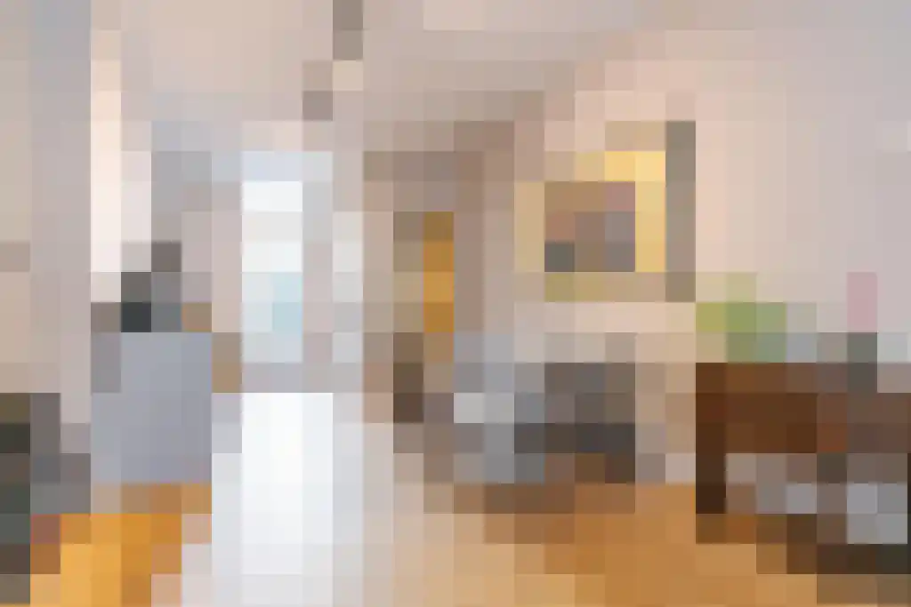 Van Egmondstraat 21 Den Haag thumbnail 9