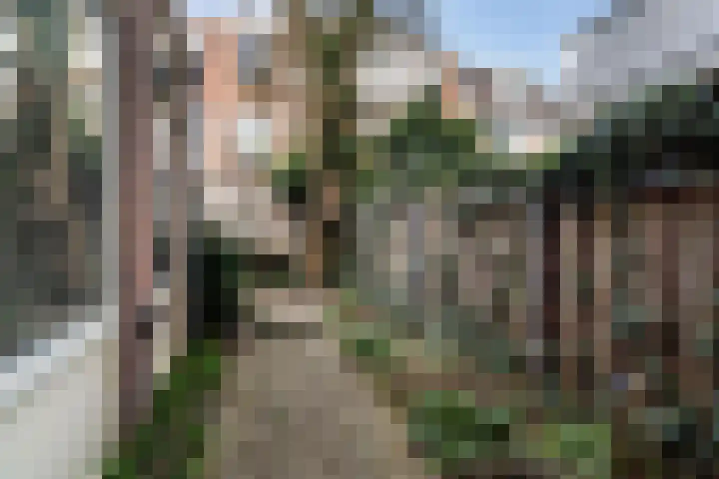 Van Egmondstraat 23 Den Haag thumbnail 12
