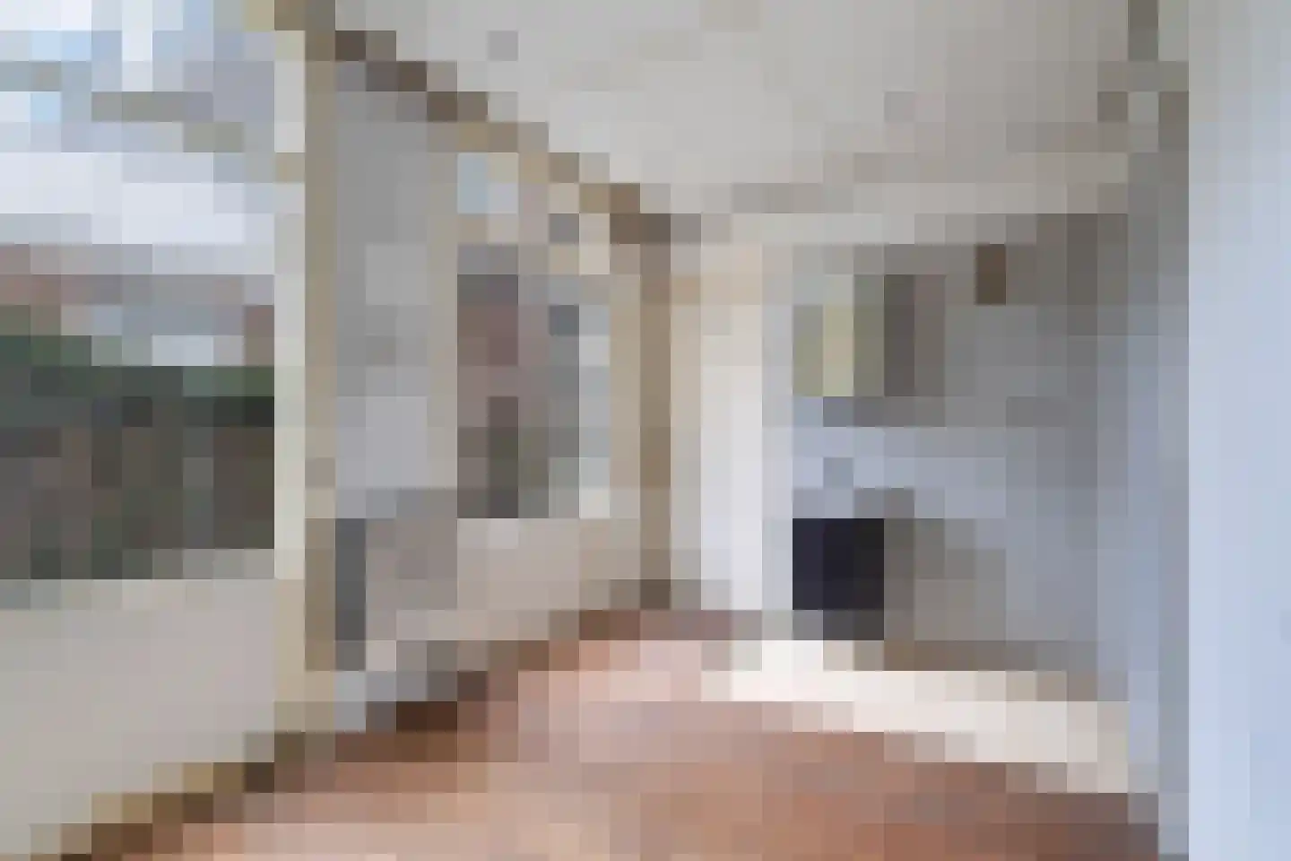 Van Egmondstraat 23 Den Haag thumbnail 14