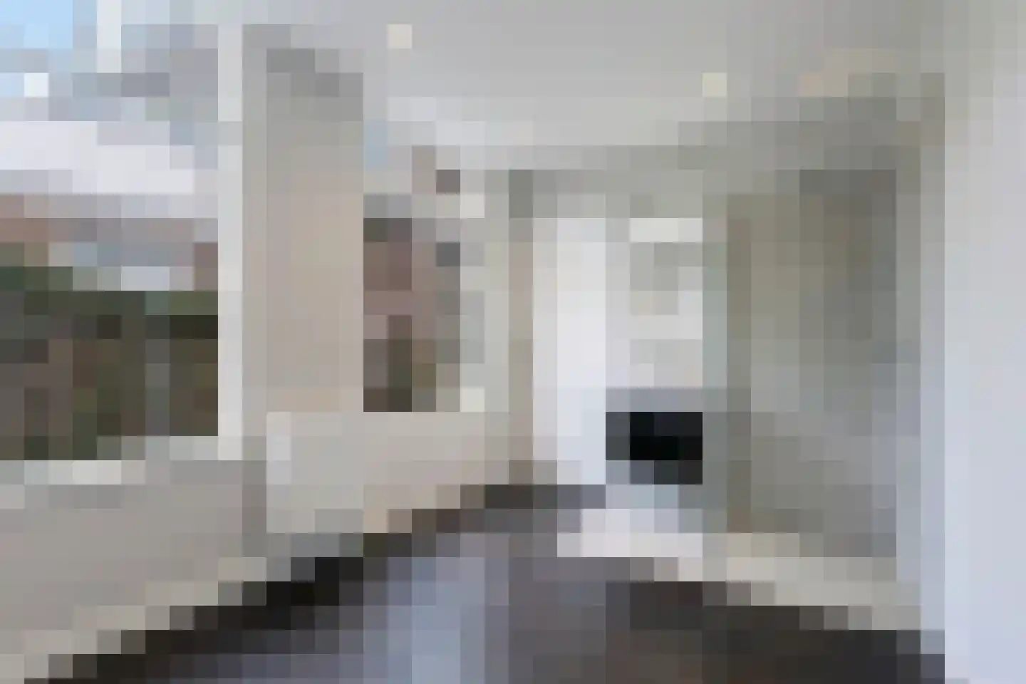 Van Egmondstraat 23 Den Haag thumbnail 15