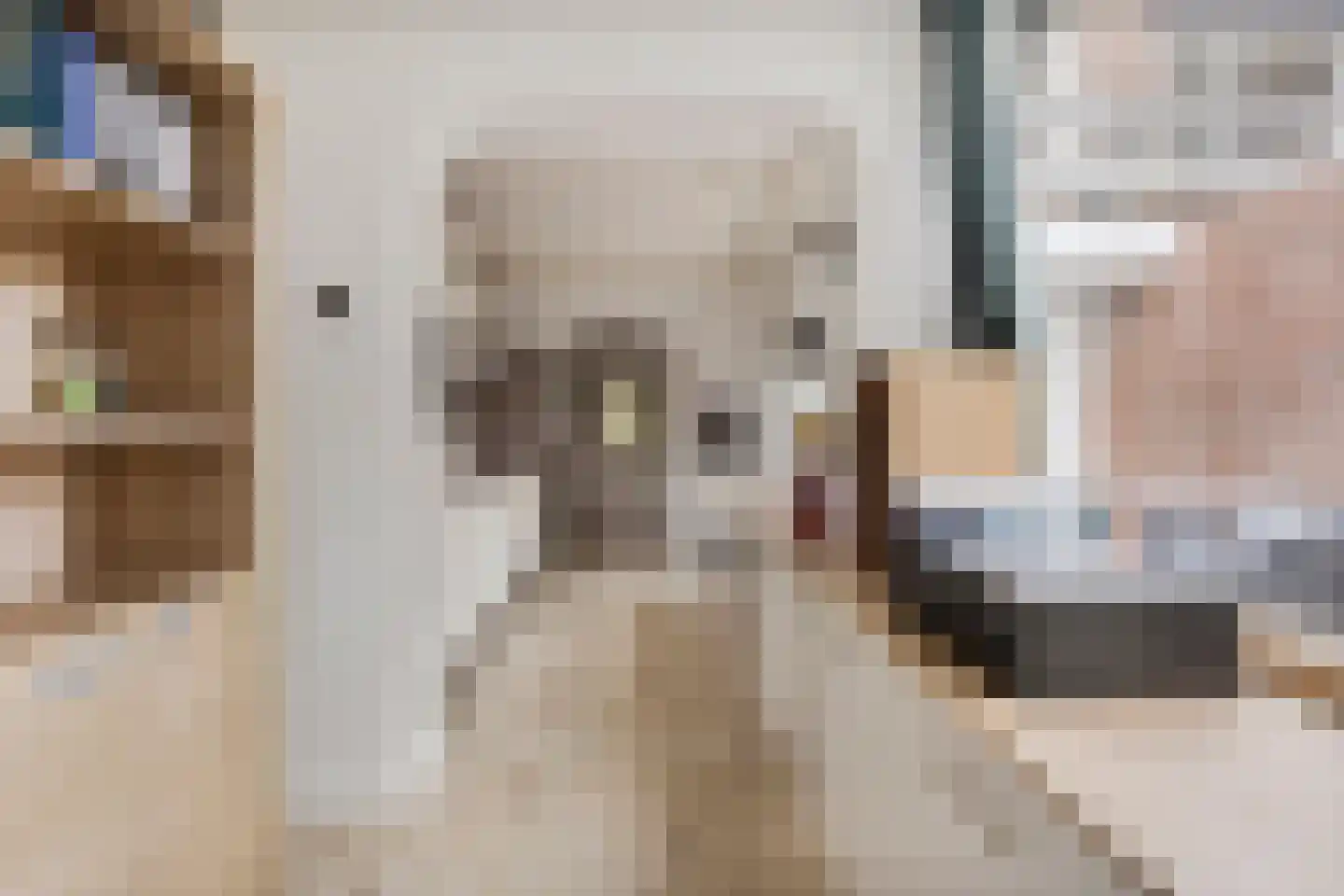 van Egmondstraat 23 Grave thumbnail 10