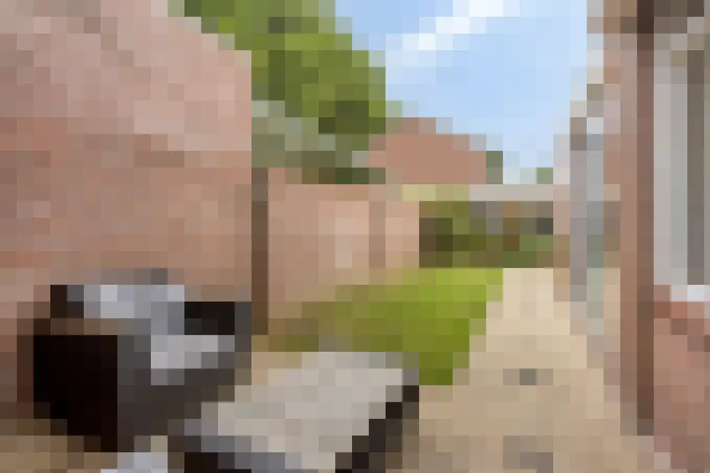 van Egmondstraat 23 Grave thumbnail 24