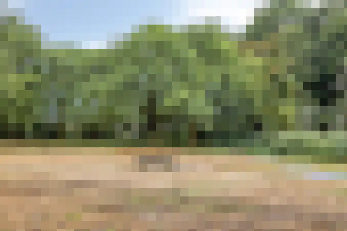 van Egmondstraat 23 Grave thumbnail 33