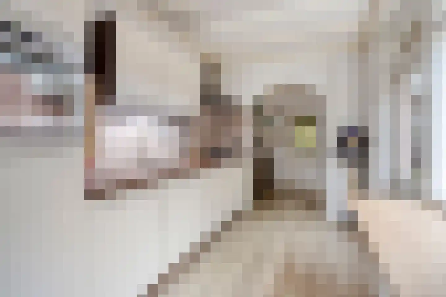 van Egmondstraat 23 Grave thumbnail 8
