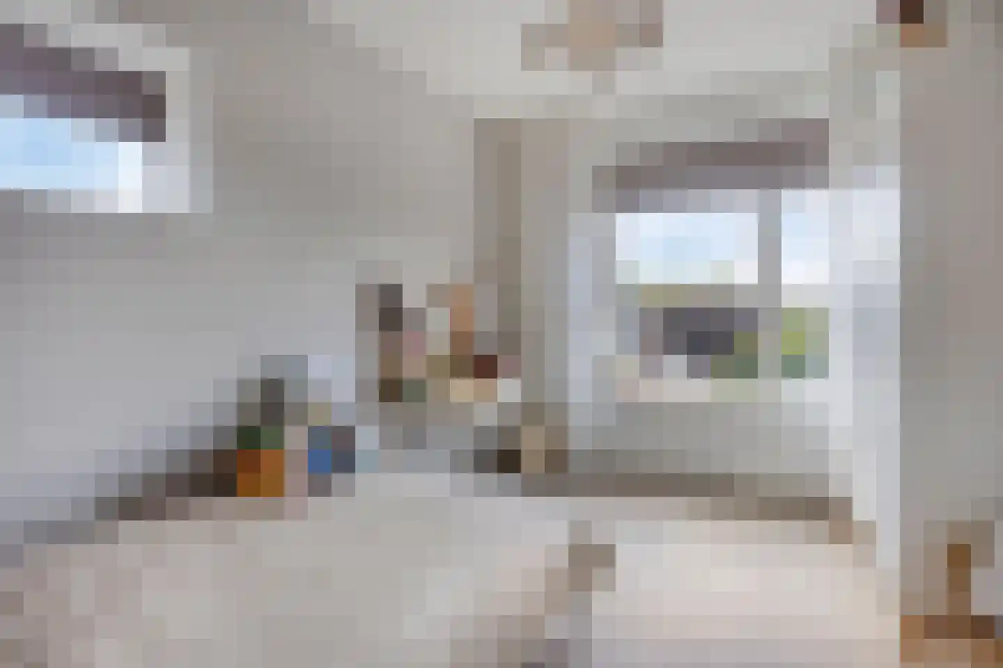 van Egmondstraat 25 Millingen aan de Rijn thumbnail 16