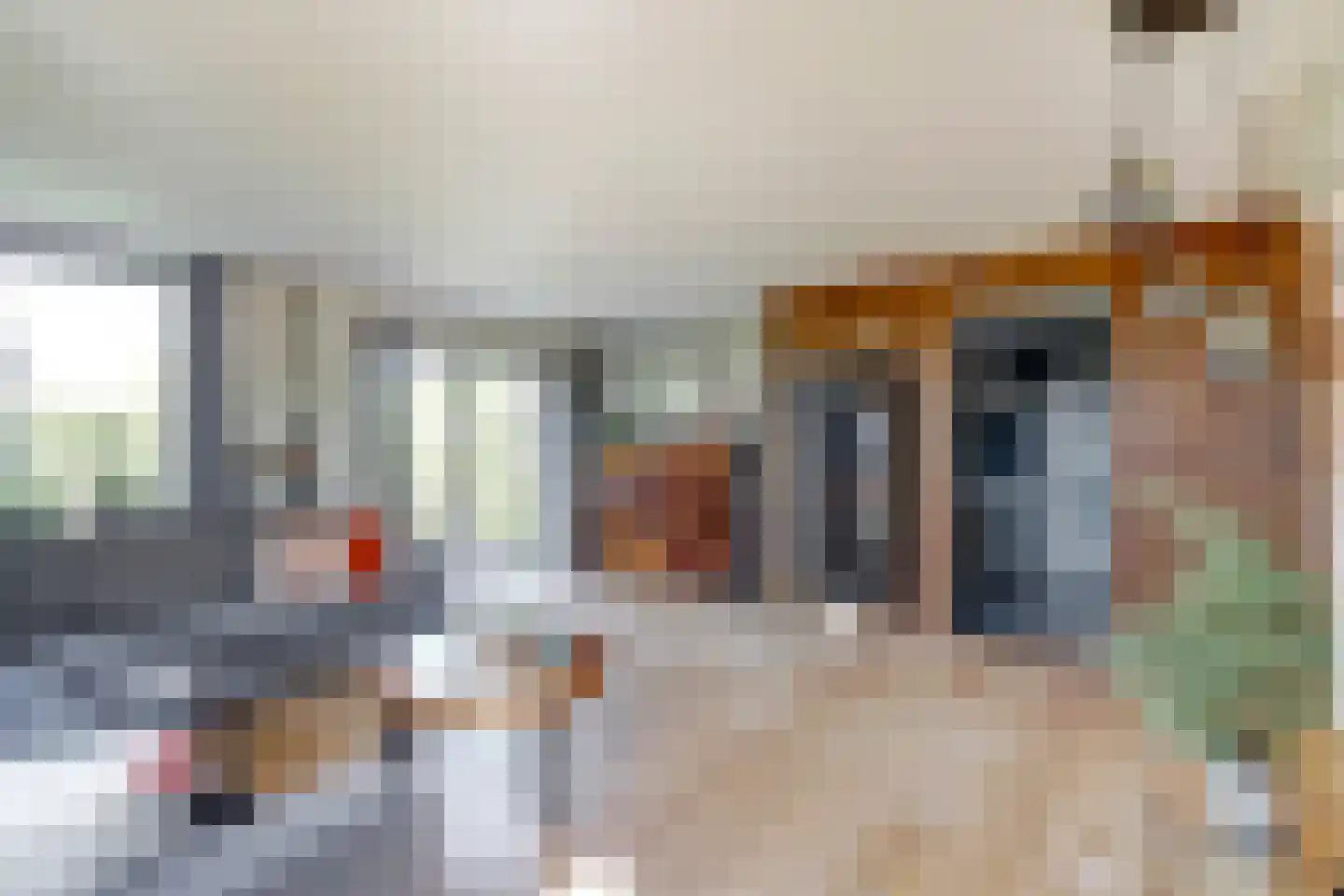 van Egmondstraat 26 Oudebildtzijl thumbnail 15