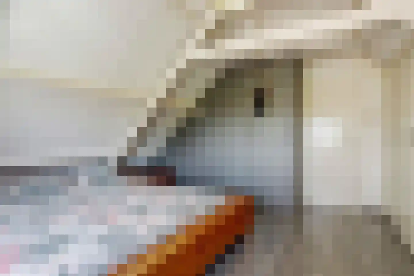 van Egmondstraat 26 Oudebildtzijl thumbnail 31