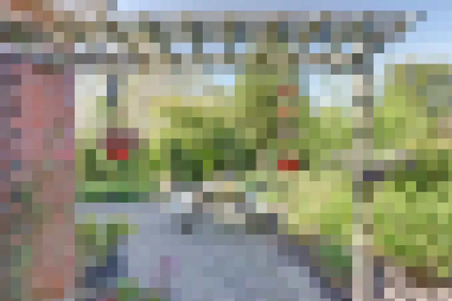 van Egmondstraat 26 Oudebildtzijl thumbnail 5