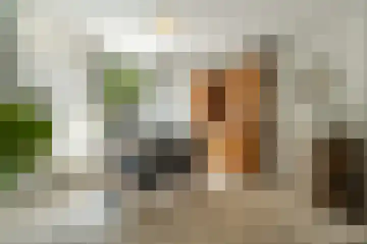 van Egmondstraat 28 Nieuw-Beijerland thumbnail 12