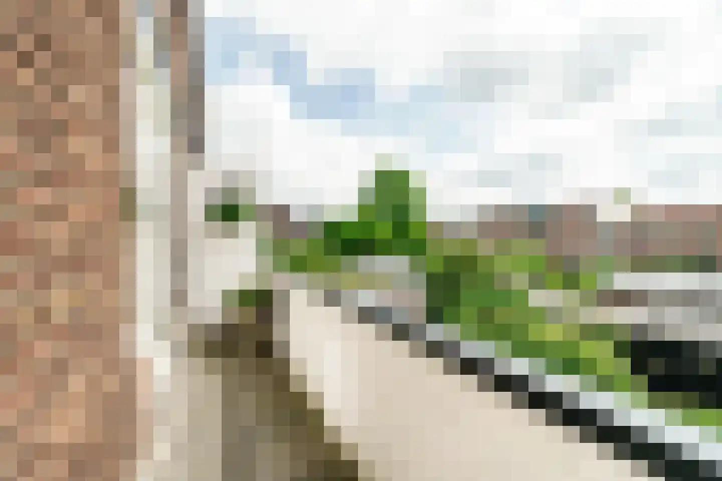 Van Egmondstraat 33 Haarlem thumbnail 21