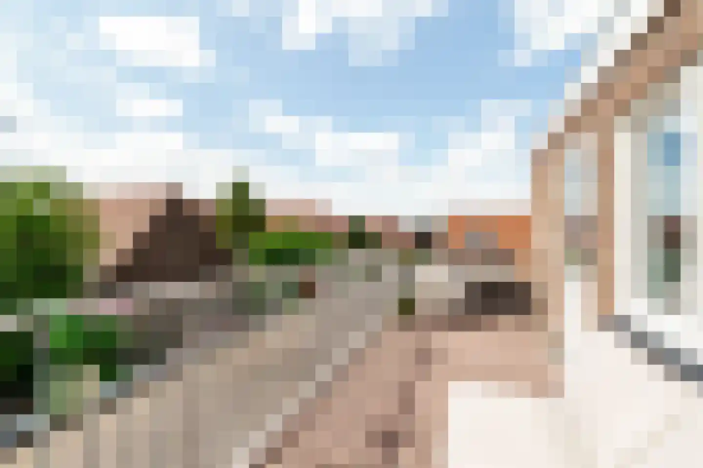 Van Egmondstraat 33 Haarlem thumbnail 36