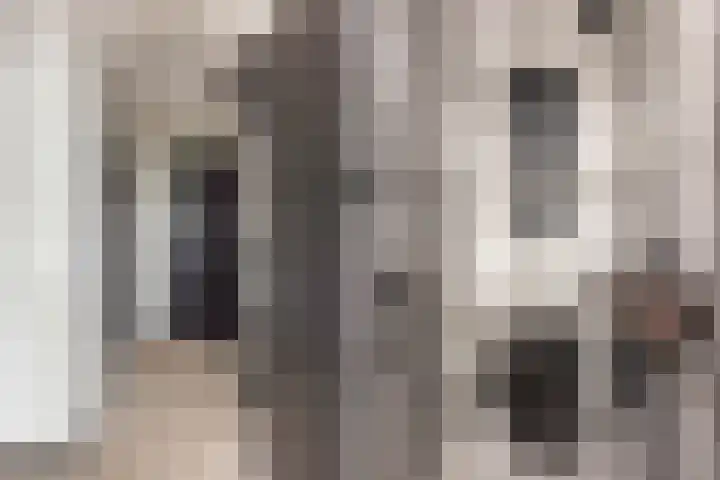 van Egmondstraat 43 Nieuw-Beijerland thumbnail 20