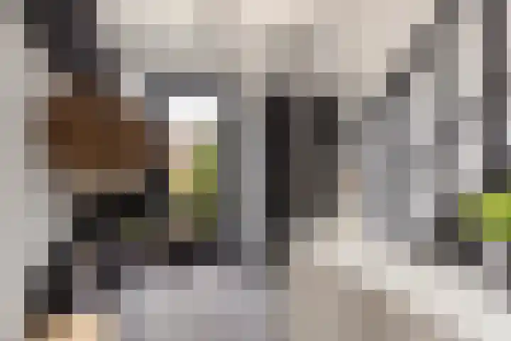 van Egmondstraat 43 Nieuw-Beijerland thumbnail 5