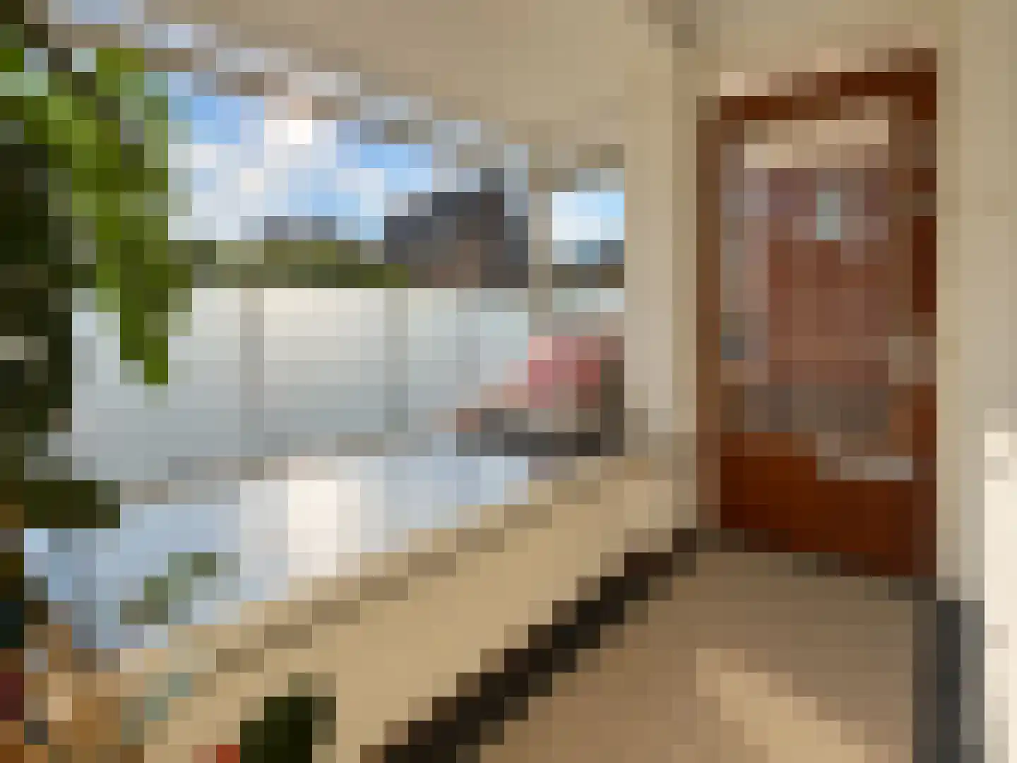 Van Egmondstraat 5 Castricum thumbnail 10