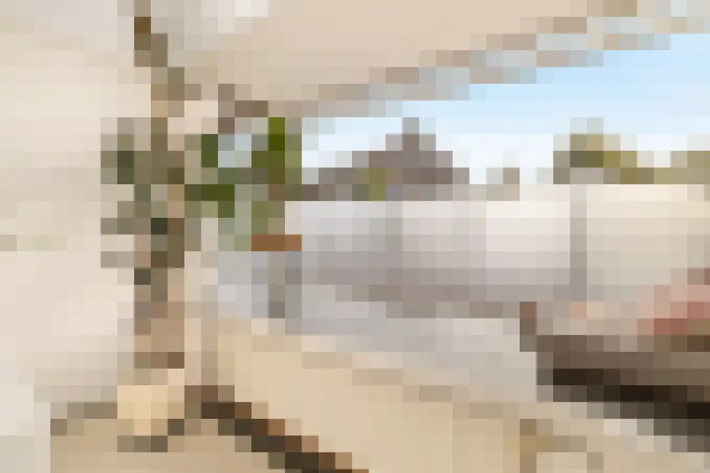 Van Egmondstraat 5 Castricum thumbnail 11