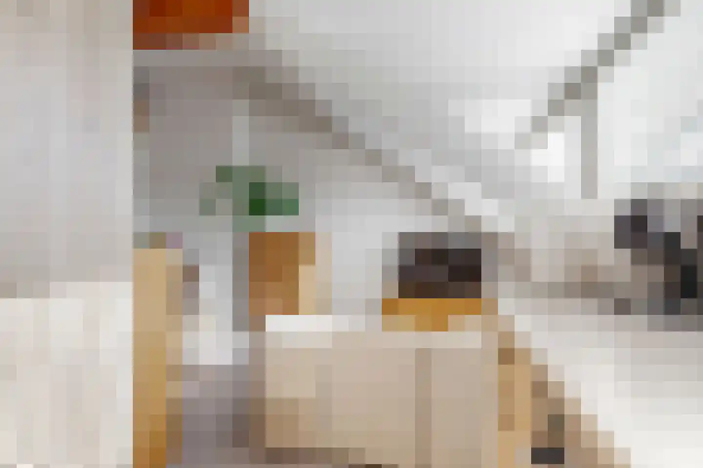 Van Egmondstraat 7 b Castricum thumbnail 15
