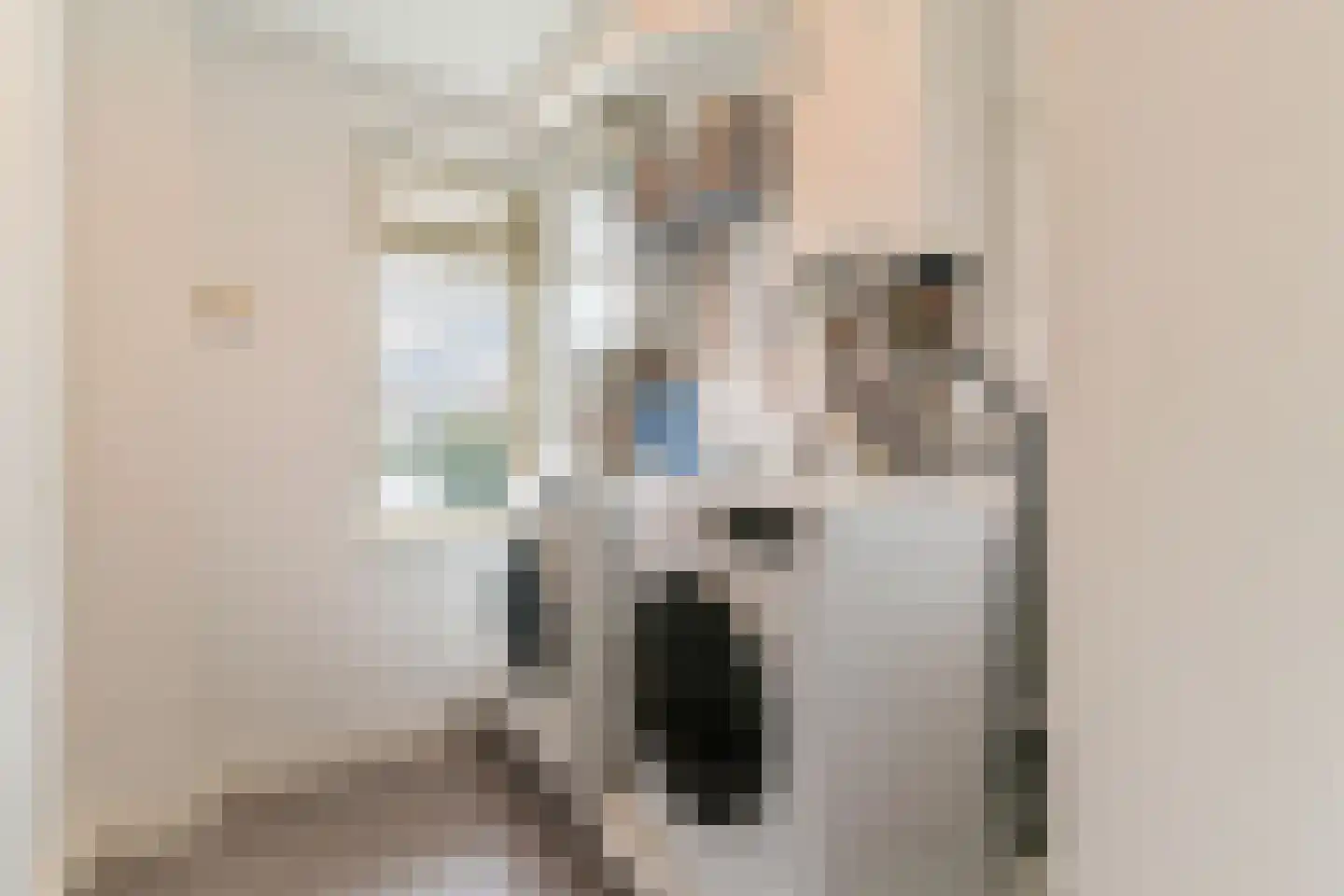 Van Egmondstraat 7 b Castricum thumbnail 22