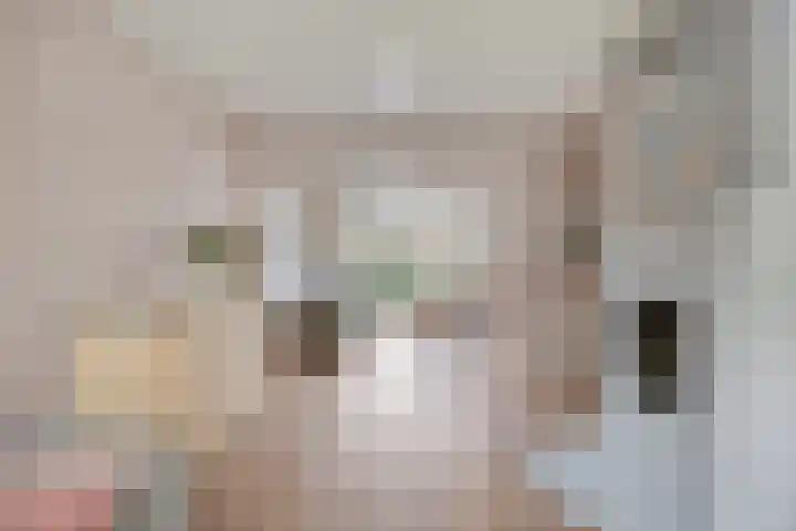 van Egmondstraat 8 Grave thumbnail 15
