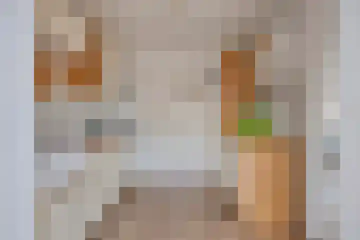 van Egmondstraat 8 Grave thumbnail 5