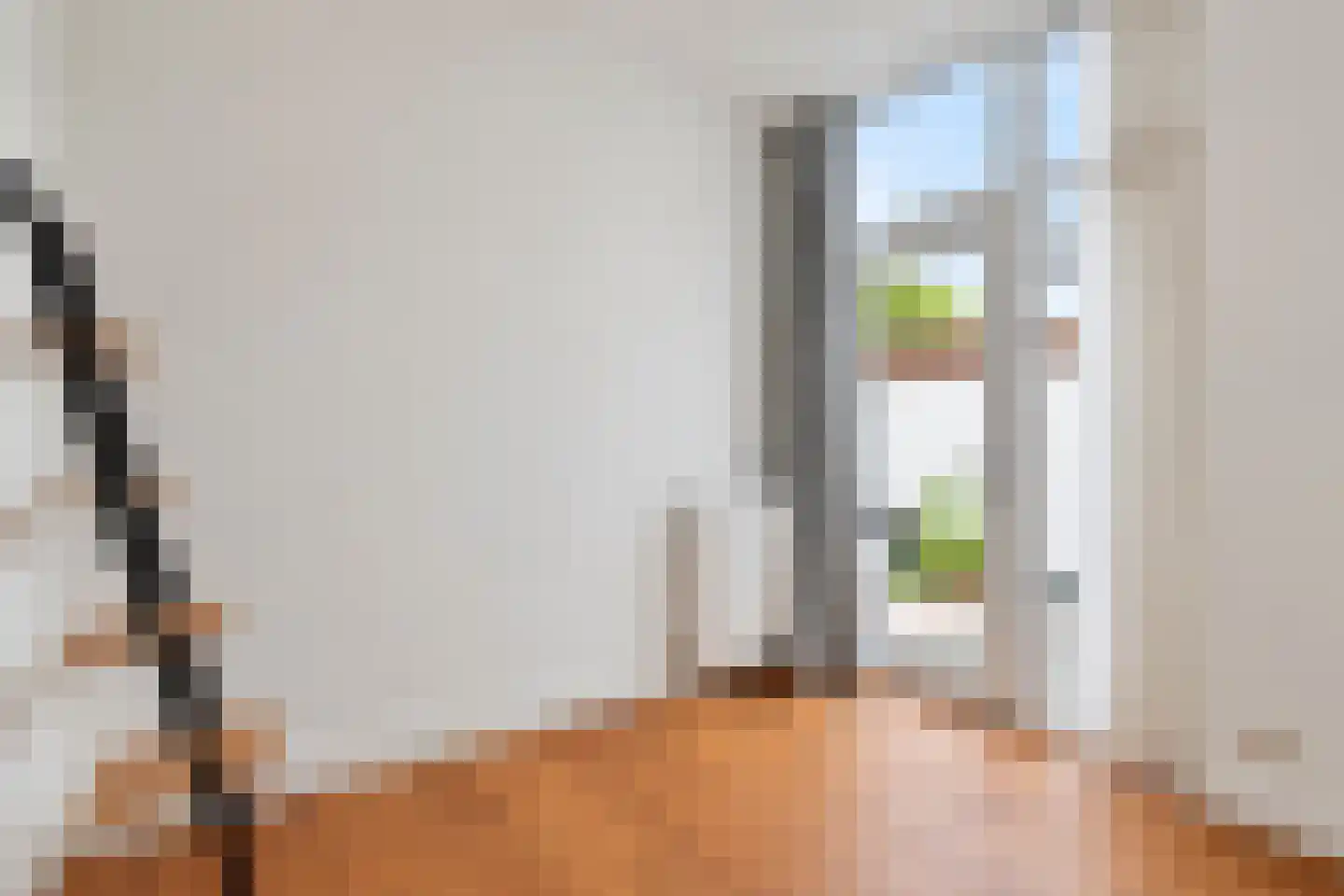 Van Egmondstraat 97 Den Haag thumbnail 22