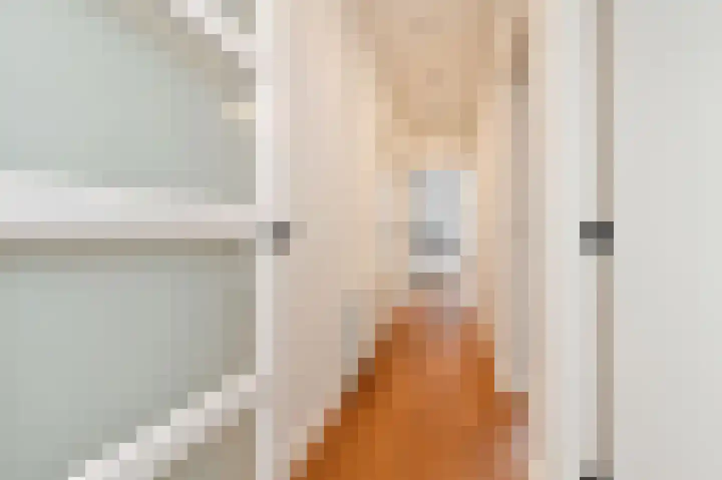Van Egmondstraat 97 Den Haag thumbnail 8