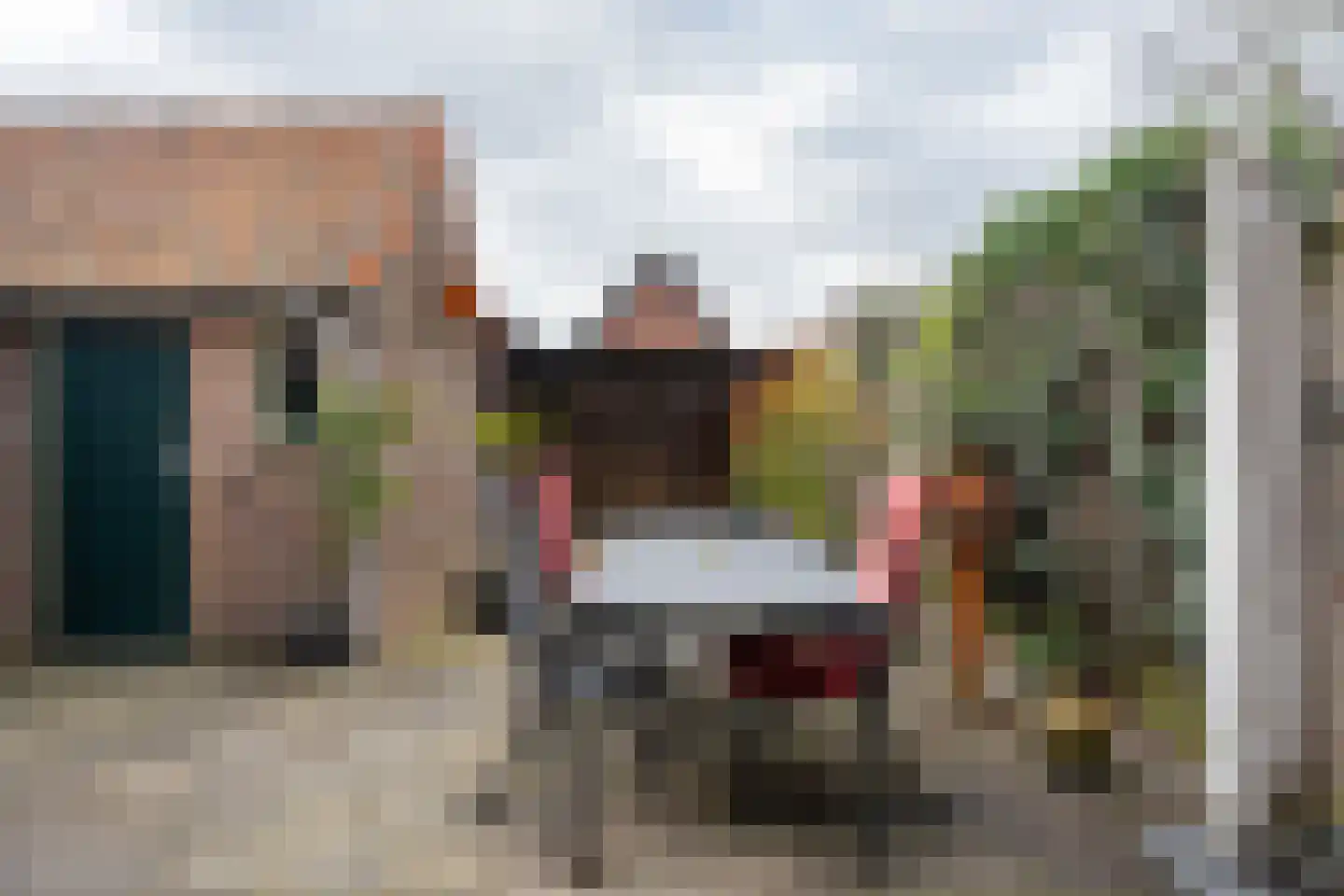 van Eijbergenstraat 18 Coevorden thumbnail 36