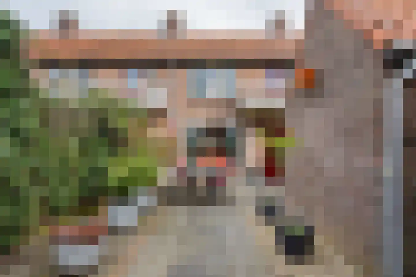 van Eijbergenstraat 18 Coevorden thumbnail 37