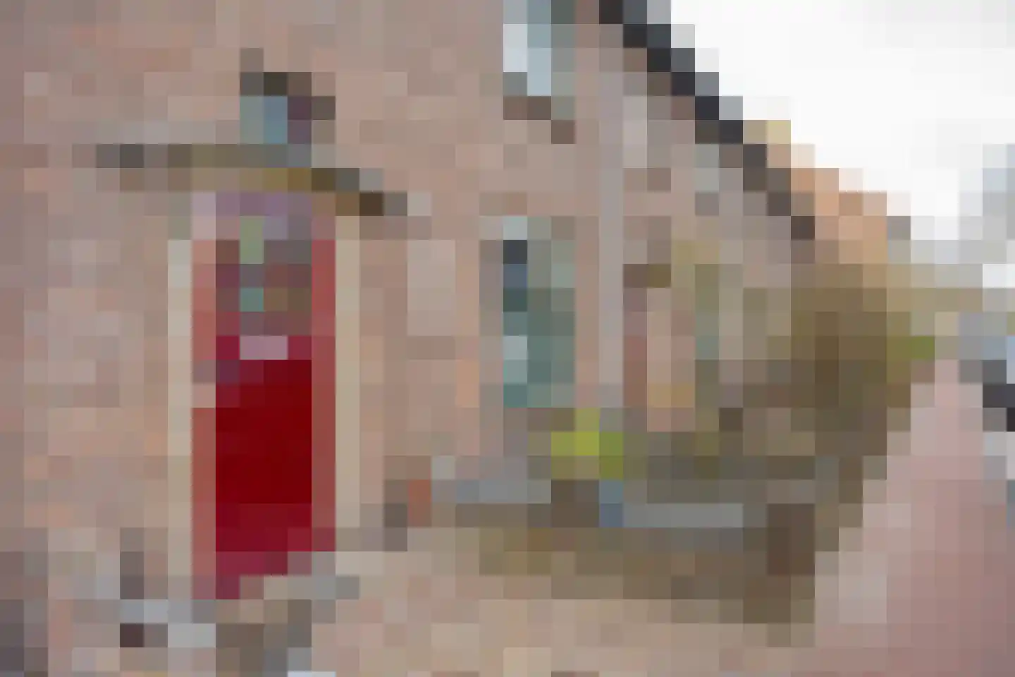 van Eijbergenstraat 18 Coevorden thumbnail 4