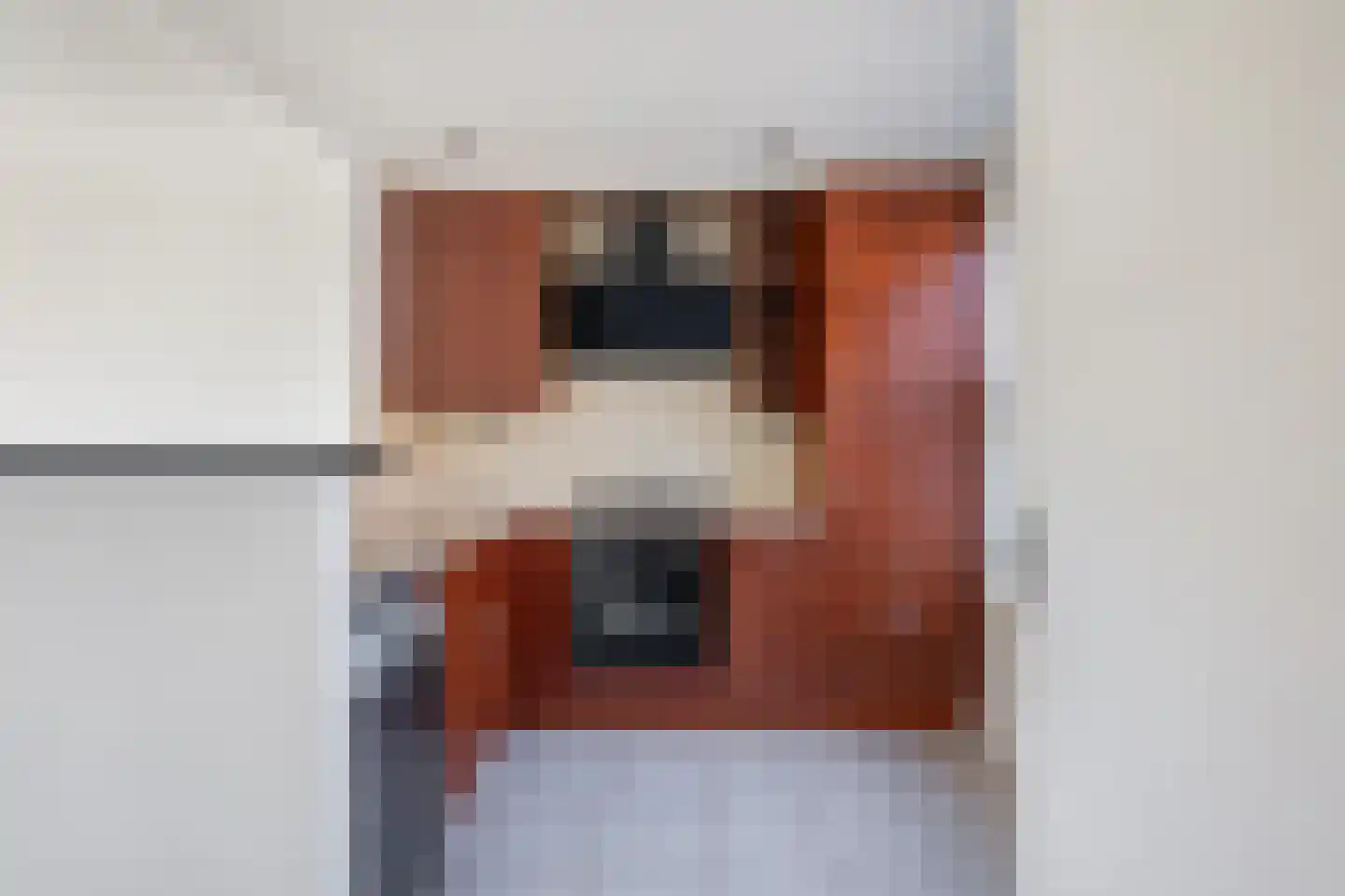 van Eijbergenstraat 18 Coevorden thumbnail 8