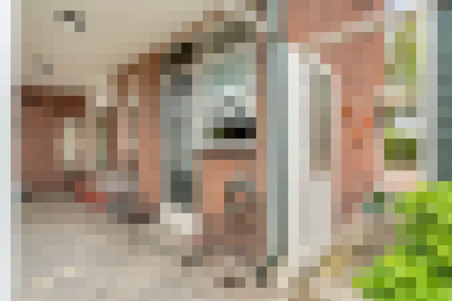 van Eijbergenstraat 30 Coevorden thumbnail 29
