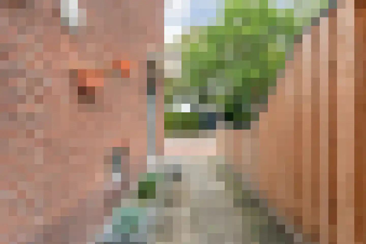 van Eijbergenstraat 30 Coevorden thumbnail 4