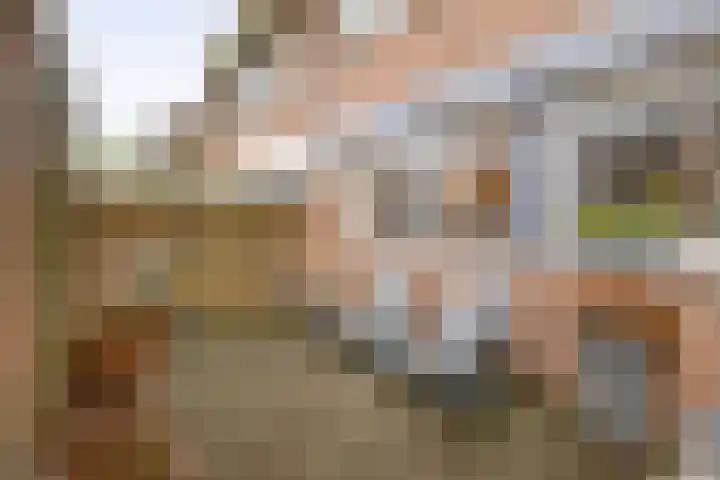 Van Eijcklaan 6 Krimpen aan den IJssel thumbnail 10