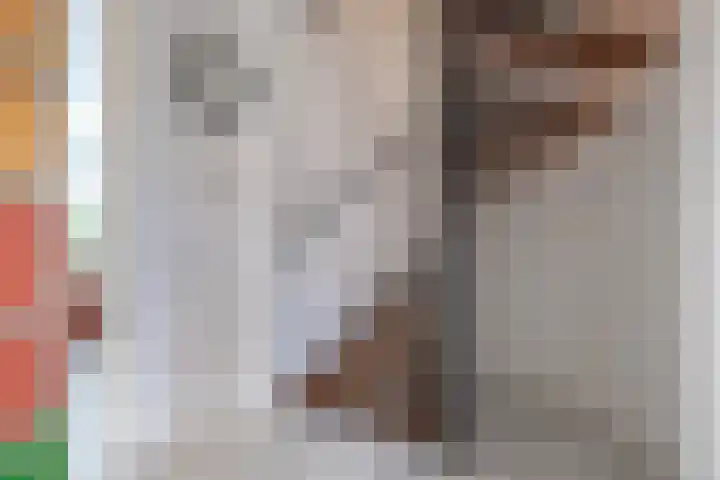Van Eijcklaan 6 Krimpen aan den IJssel thumbnail 12