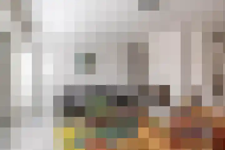 Van Eijcklaan 6 Krimpen aan den IJssel thumbnail 15