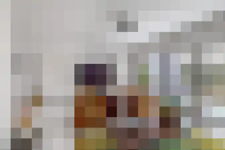 Van Eijcklaan 6 Krimpen aan den IJssel thumbnail 17