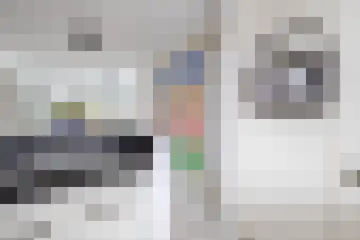 Van Eijcklaan 6 Krimpen aan den IJssel thumbnail 24