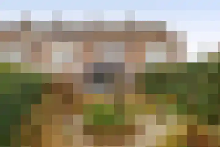 Van Eijcklaan 6 Krimpen aan den IJssel thumbnail 28
