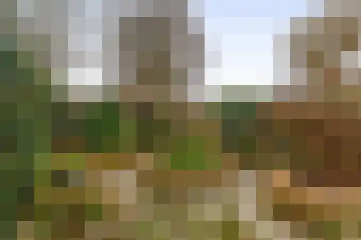 Van Eijcklaan 6 Krimpen aan den IJssel thumbnail 30