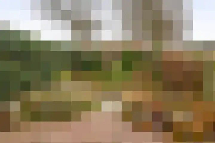 Van Eijcklaan 6 Krimpen aan den IJssel thumbnail 31