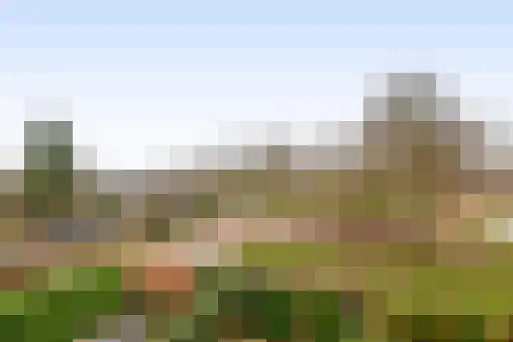 Van Eijcklaan 6 Krimpen aan den IJssel thumbnail 32
