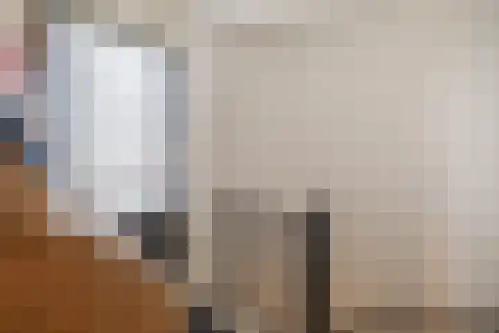 Van Eijcklaan 6 Krimpen aan den IJssel thumbnail 42
