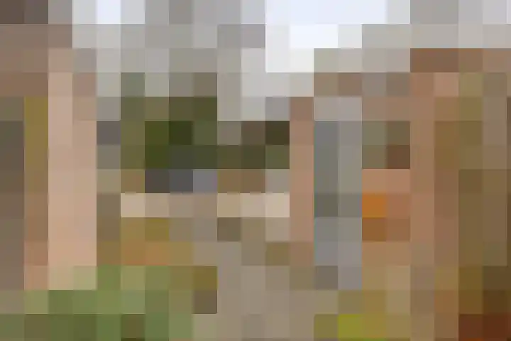 Van Eijcklaan 6 Krimpen aan den IJssel thumbnail 9
