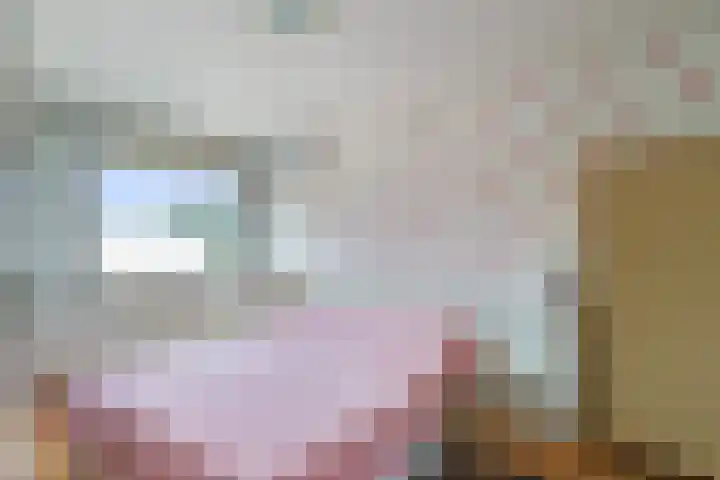 Van Eijcklaan 9 Krimpen aan den IJssel thumbnail 14