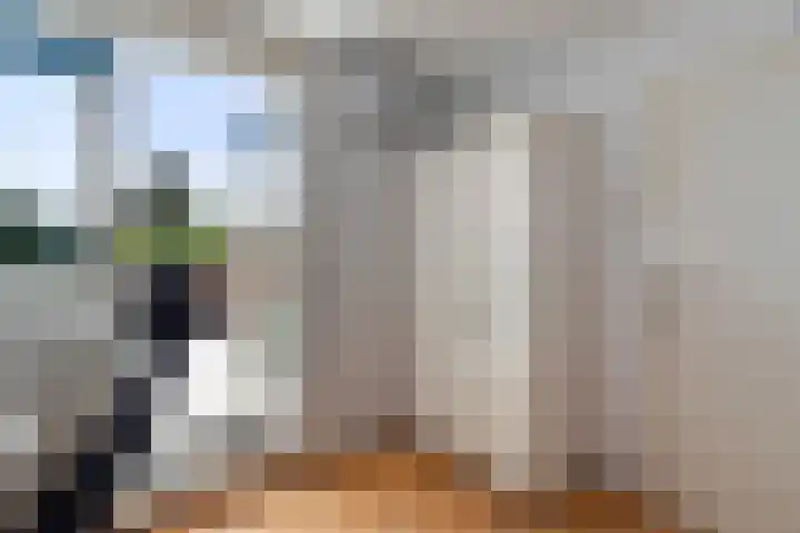 Van Eijcklaan 9 Krimpen aan den IJssel thumbnail 21
