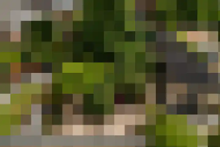 Van Eijcklaan 9 Krimpen aan den IJssel thumbnail 23