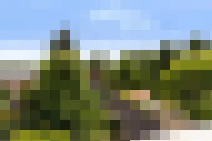 Van Eijcklaan 9 Krimpen aan den IJssel thumbnail 24