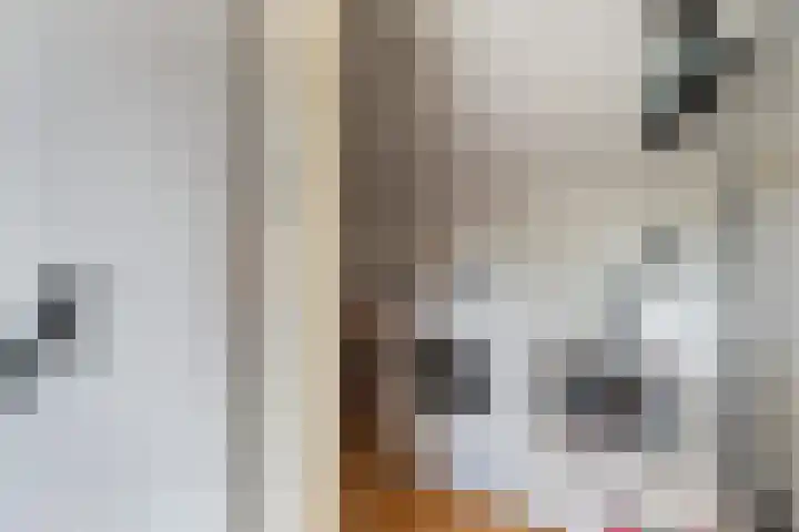 Van Eijcklaan 9 Krimpen aan den IJssel thumbnail 26