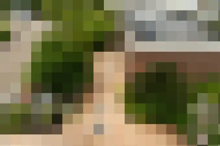 Van Eijcklaan 9 Krimpen aan den IJssel thumbnail 27